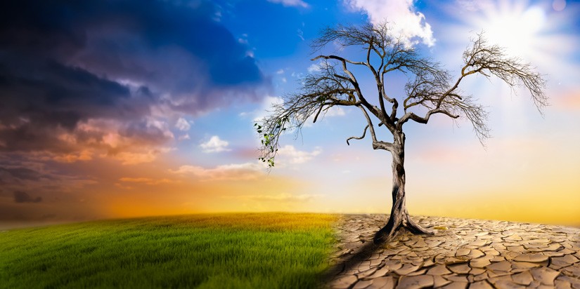 Understanding Climate Information: A Complete Guide to Climate Awareness.